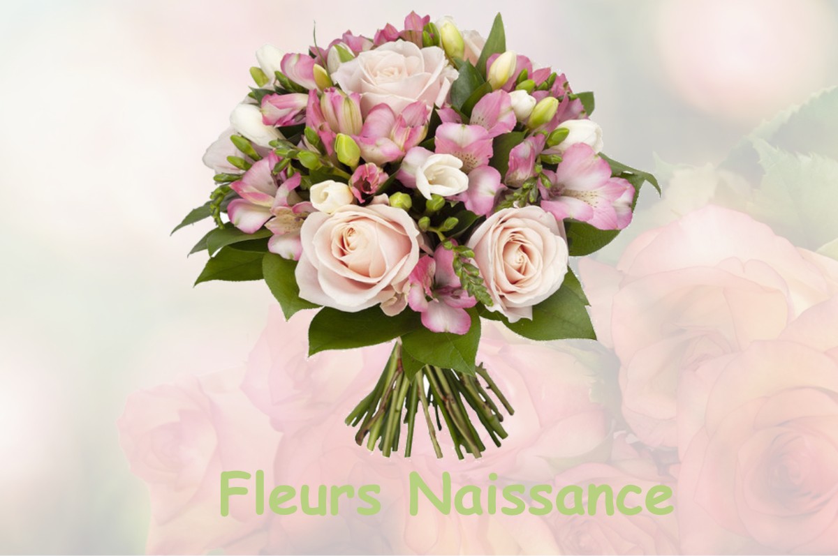 fleurs naissance MAISONS-DU-BOIS-LIEVREMONT